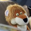 SH2025-Tobi-DSC01389