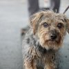 SH2025-Tobi-DSC01391